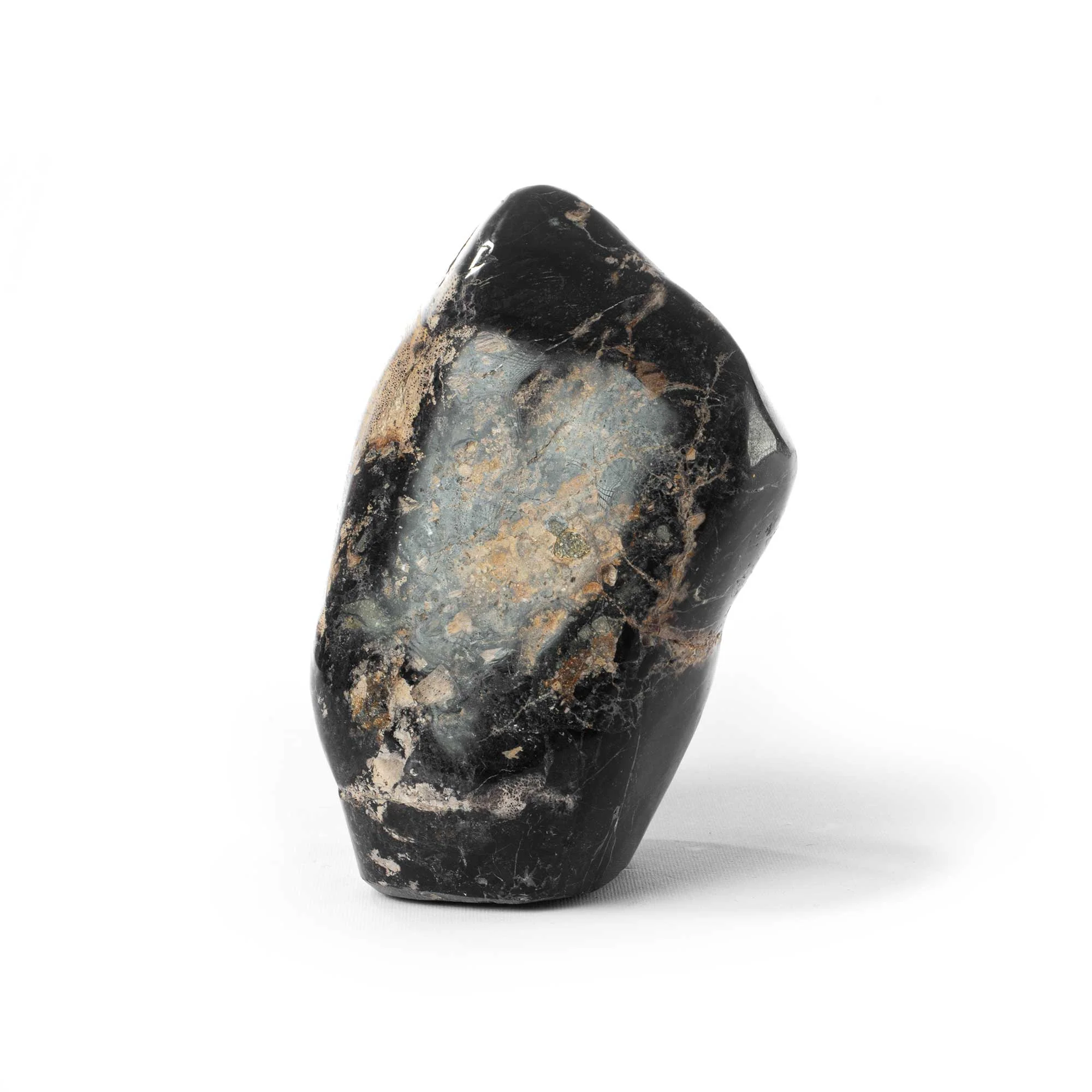POLISHED PETRIFIED WOOD Thumbnail