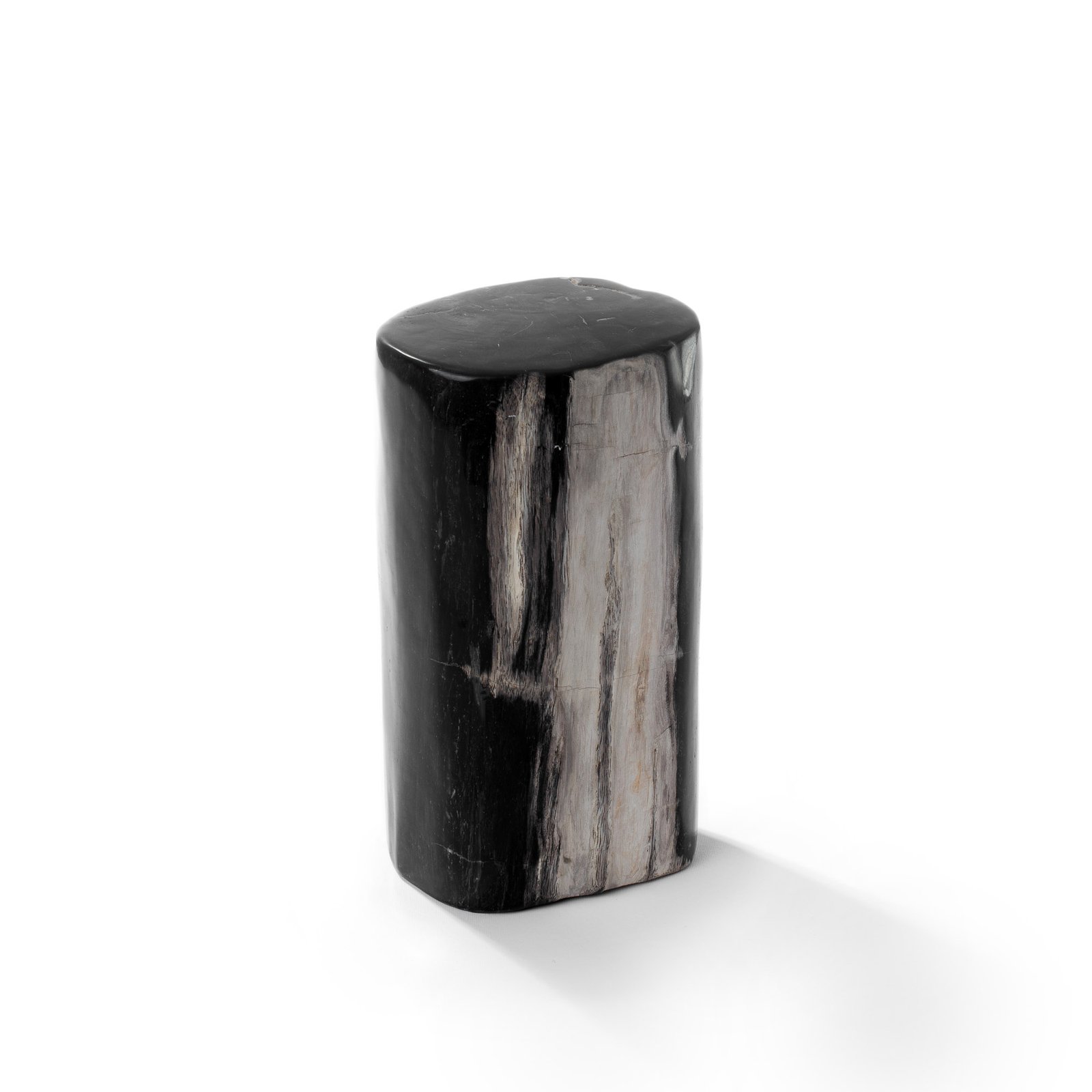 POLISHED PETRIFIED WOOD Thumbnail