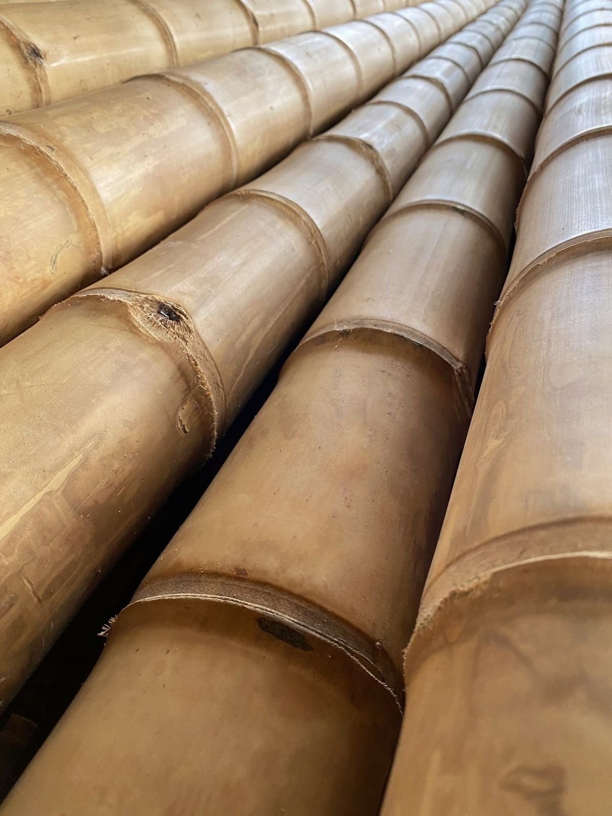 bamboo stick Thumbnail