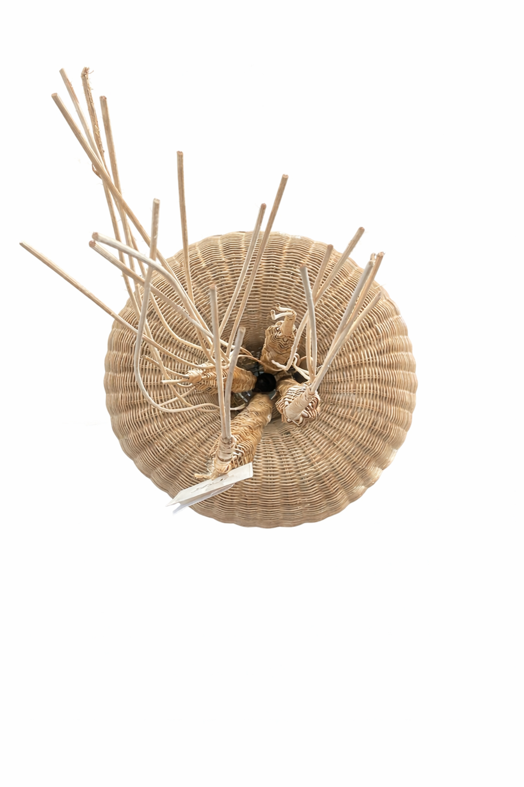 Jelly Fish Pendant Lamp Thumbnail