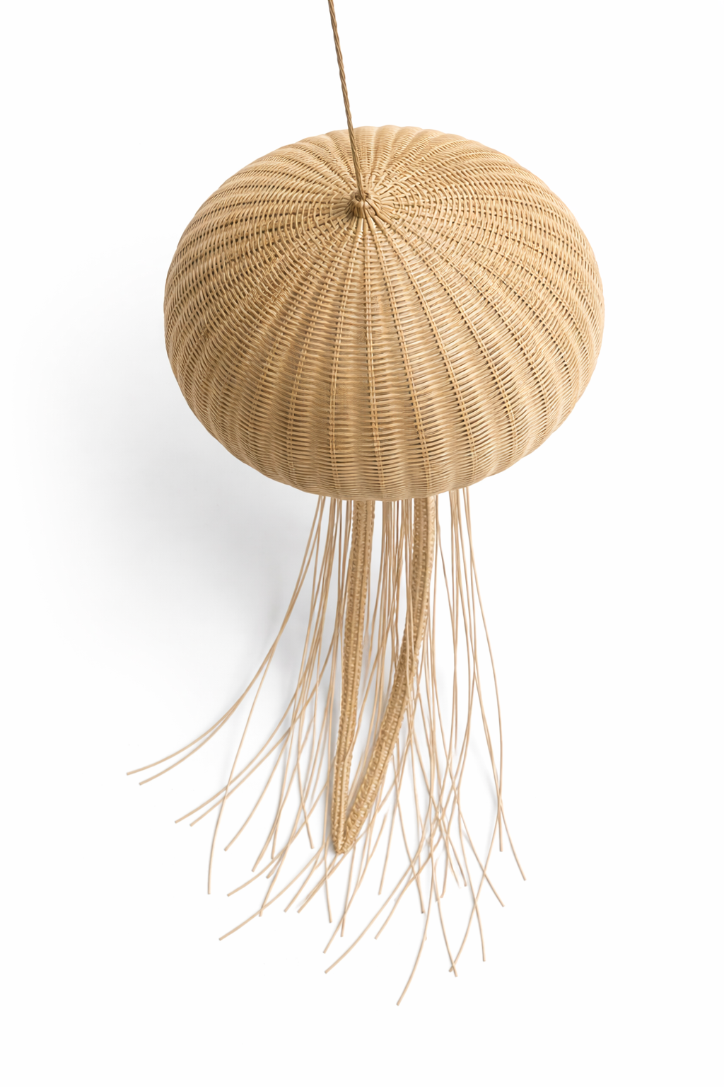 Jelly Fish Pendant Lamp Thumbnail